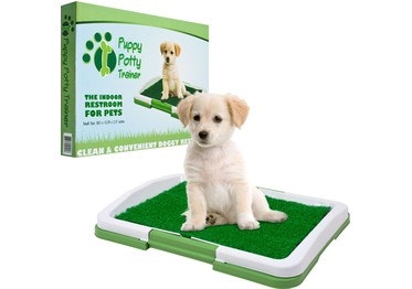 PAW Puppy Potty Trainer, The Indoor Restroom for Pets